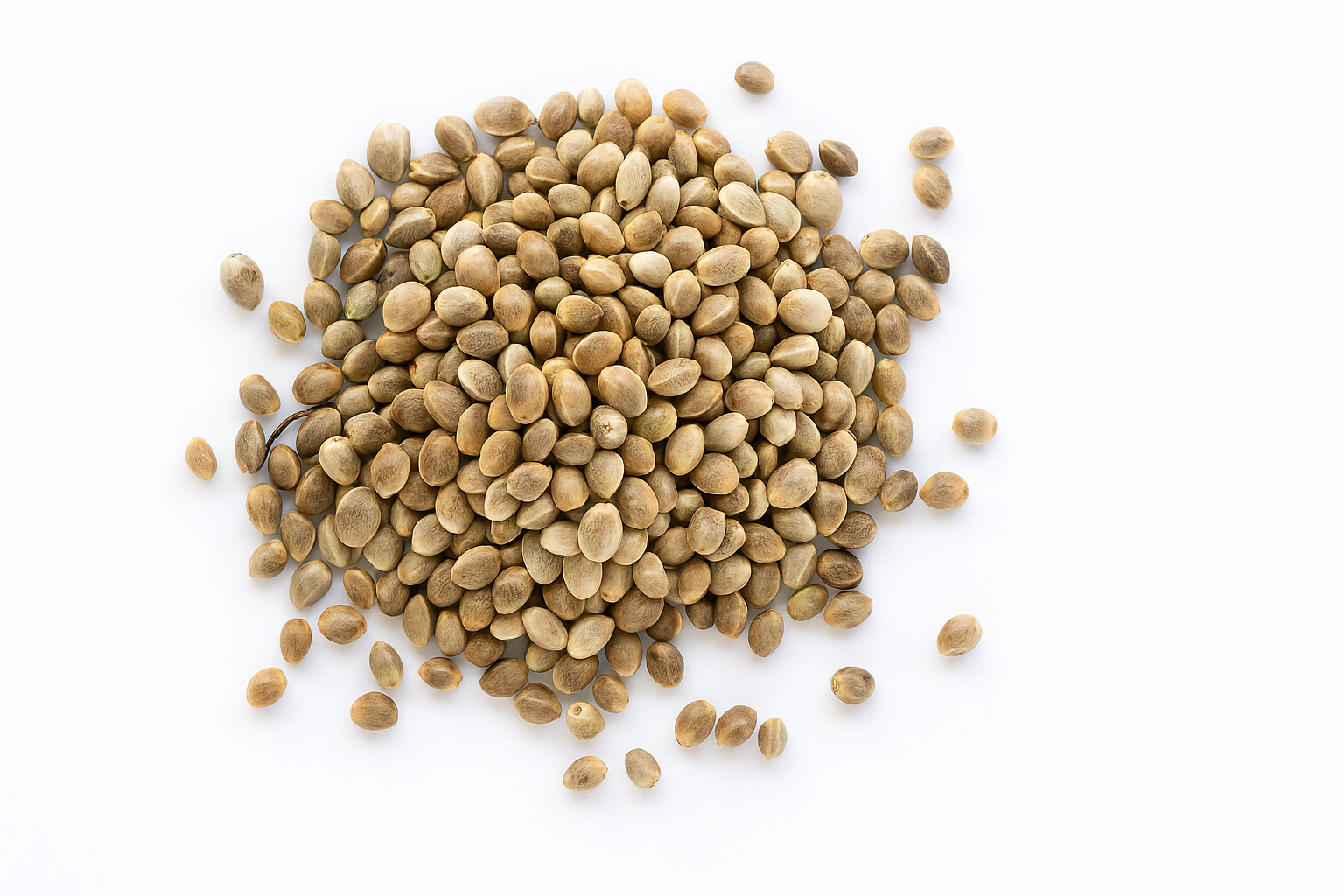 Hemp Seeds